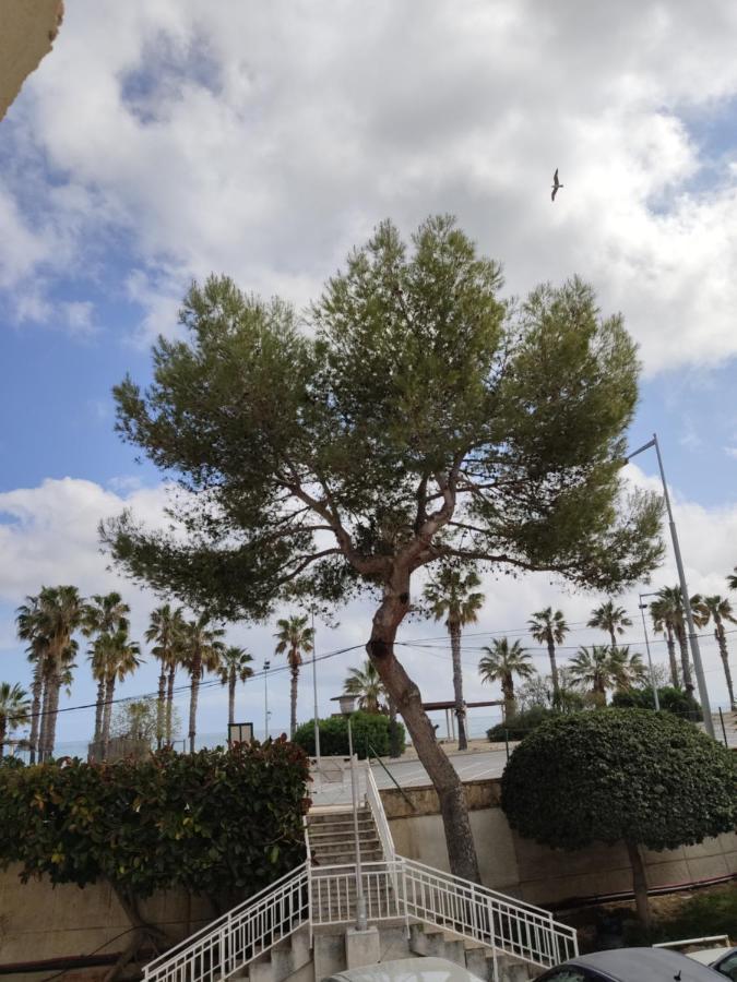 Apartamento Mare Nostrum Playa Arrabassada Tarragona Esterno foto
